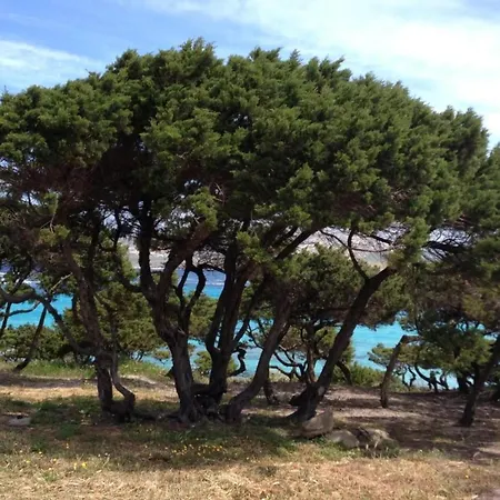 Detached With Garden In Stintino, Cleaning Included Villa *