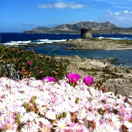 Detached With Garden In Stintino, Cleaning Included Punta de su Torrione